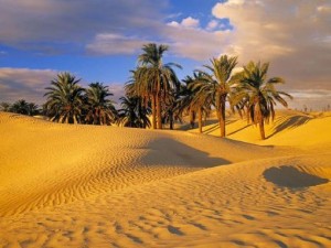 tunisia_desert-66961